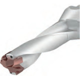 NT-DEX-3D