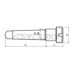 Патрон цанговый MTA4-ER25-050