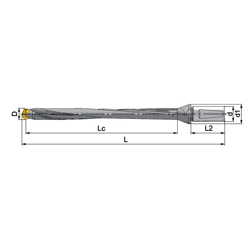 QD200/209-25-12D-CA Корпусное (модульное) сверло со сменной головкой, внутренний подвод СОЖ