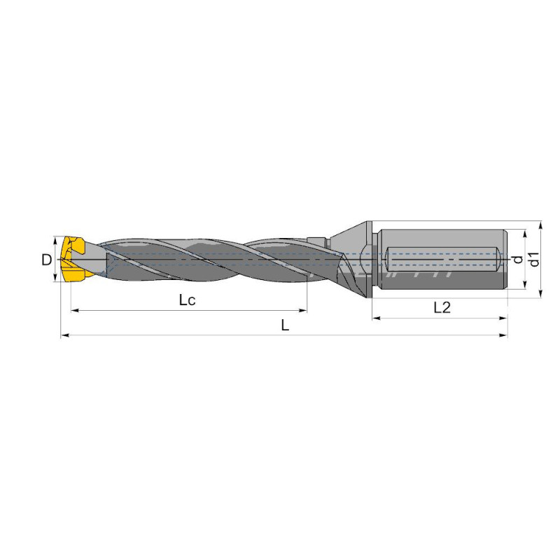 QD240/249-32-5D-CA Корпусное (модульное) сверло со сменной головкой, внутренний подвод СОЖ