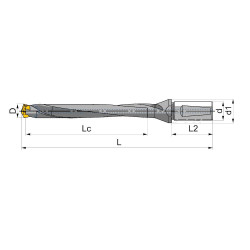 QD250/260-32-8D-CA Корпусное (модульное) сверло со сменной головкой, внутренний подвод СОЖ