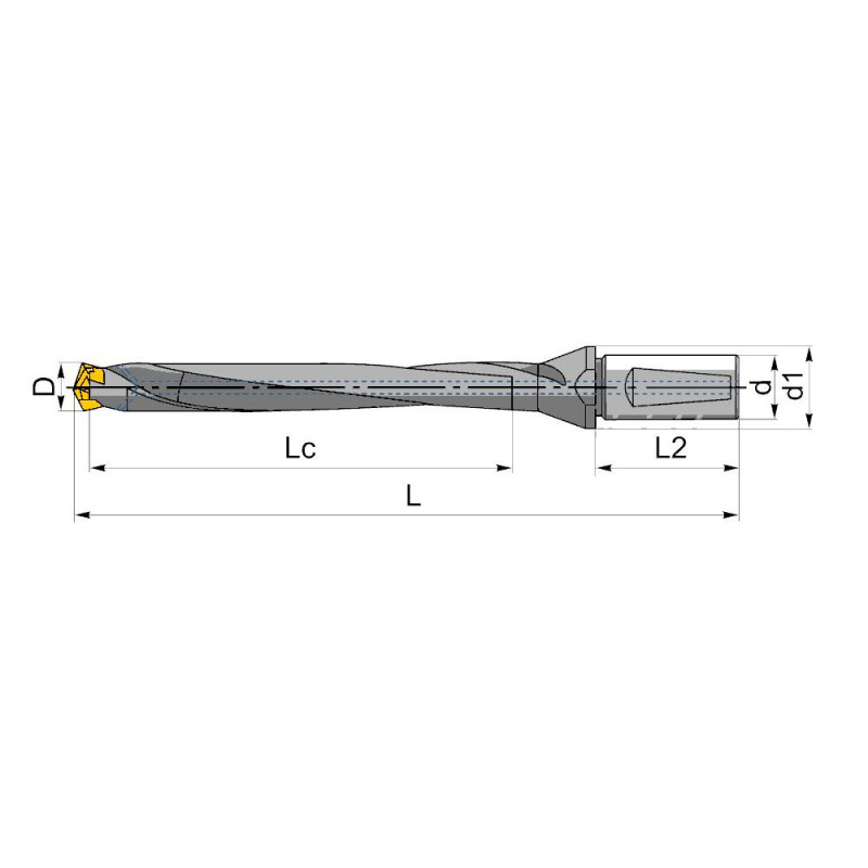 QD250/260-32-8D-CA Корпусное (модульное) сверло со сменной головкой, внутренний подвод СОЖ