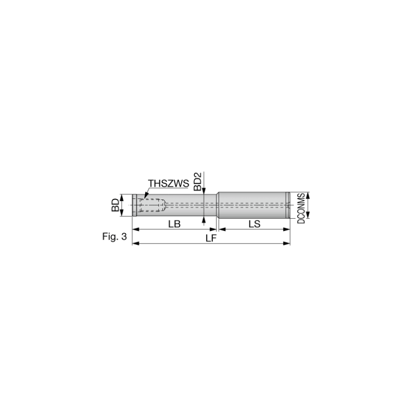 SM06-L100-C12-C-H Твердосплавный модульный хвостовик