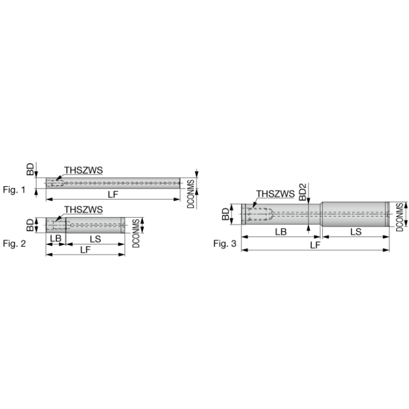 SM06-L150-C12-C-H Твердосплавный модульный хвостовик