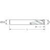 Фреза MDTACS2 MM 6 PV200 2F SHORT OSAWA