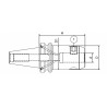 Оправка ISO50 MAS403BT WELDON H100 D.6