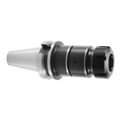 Патрон резьбонарезной BT30-WER20-100