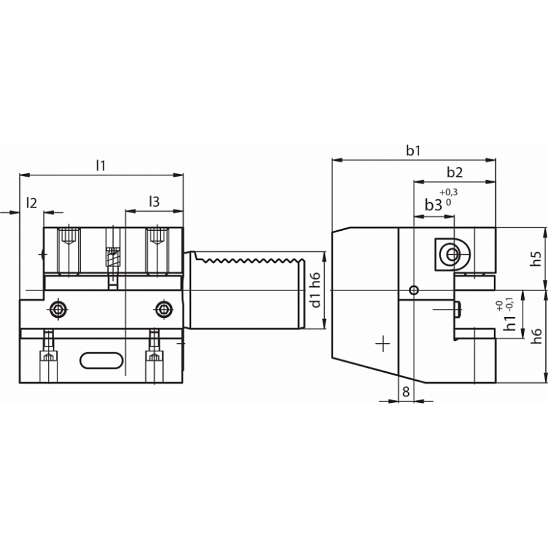 Резцедержатель ASSIALE FORMA C1-80X40X160