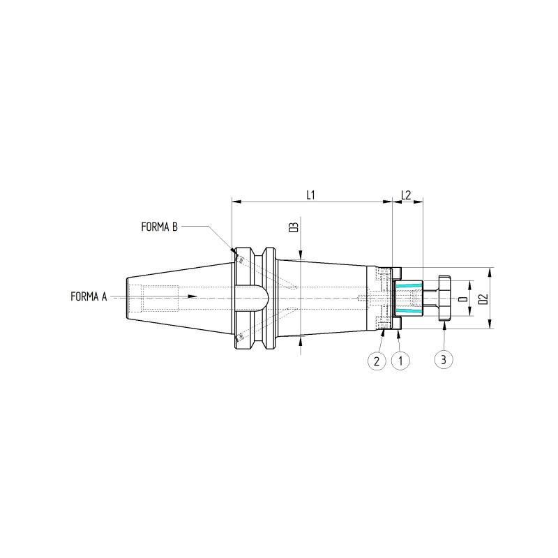 Оправка ISO50 MAS403BT P/F FISSO H300 D.22