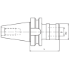 Патрон резьбонарезной ISO50 MAS403BT M/PORTAM/C/R L102 GR.2