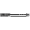 Метчик 243612-RP1/8