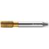 Метчик TC410-M12-L0-WY80AD